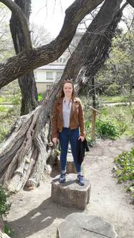 Picture